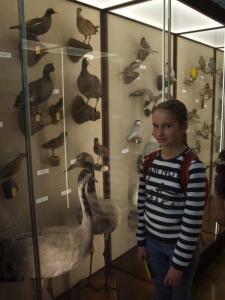 muzeum 16.jpg
